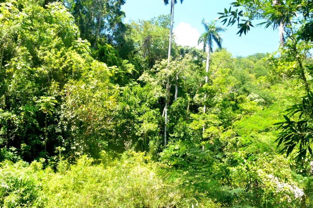 10 dias Cuba