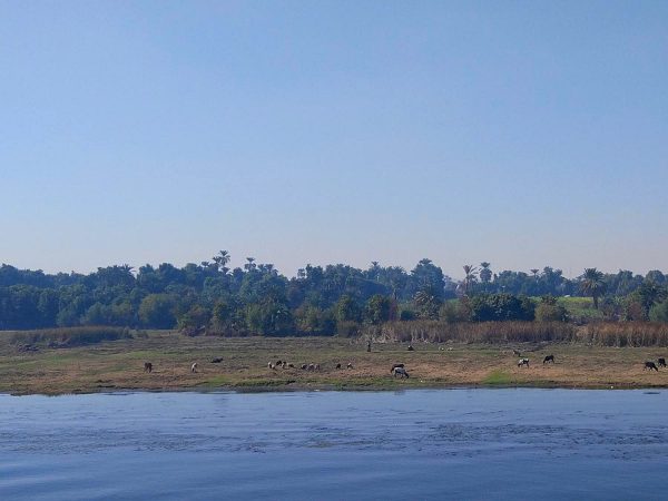 consejos viajar Egipto