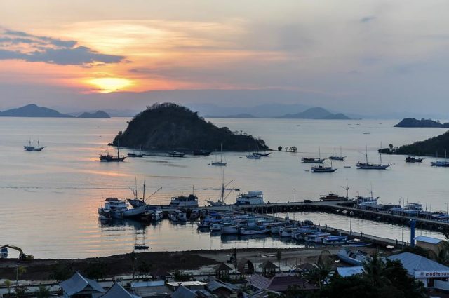 visitar isla de flores