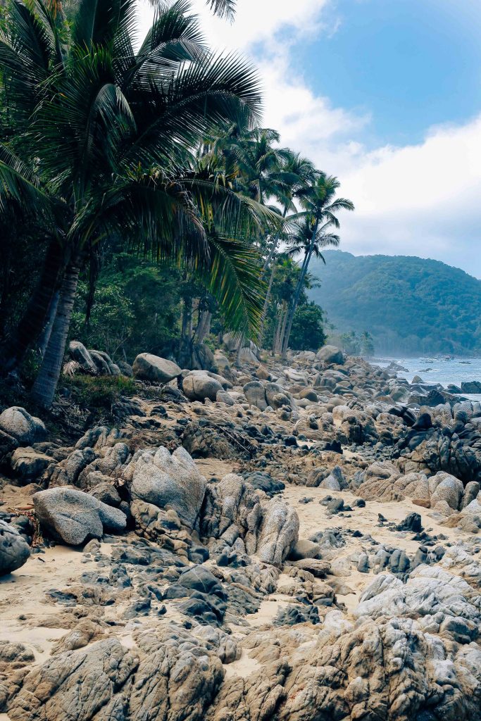 que visitar Puerto Vallarta